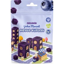 Renas Store Natural Organik Yaban Mersinli Meyve Küpleri 30GR