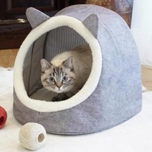 Odea Köpek Oyuncağı, Ödül ve Oyun Topu, Kauçuk, Turuncu, 5cm