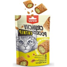 Odea Catnipli ve Tavuklu Kedi Ödül Maması 60 gr