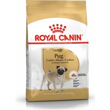Odea Royal Canin-Pug 25 Pug Irkı Özel Maması 1,5 kg