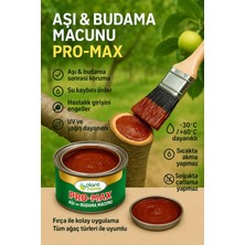Aşı ve Budama Macunu – Ağaç Yarası Kapatıcı, Su Kaybı ve Hastalık Önleyici