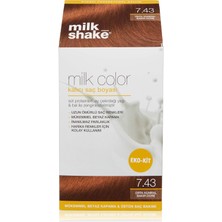 Odea Milk Shake Milk Color Eko Kit 7.43 1 Paket(1 x 0.5 G)