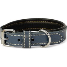 Odea Canini Collar Rainbow Xs Hakiki Deri Küçük Köpek Tasması – Xs Beden, Küçük ve Mini Köpekler Için Tasma, Yumuşak Iç Deri, Krom Kaplamalı Toka & D-Halka, 7 Farklı Renk Seçenekleri (Lacivert)