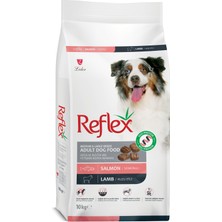 Odea Reflex Duo Protein Somonlu ve Kuzu Etli Orta ve Büyük Irk Yetişkin Köpek Maması 10 kg