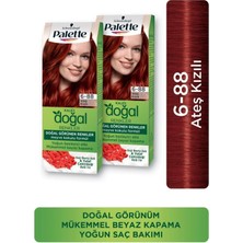 Odea Palette Kalıcı Doğal Renkler 6-88 Ateş Kızılı Goji Berry Özü Saç Boyası x 2 Adet