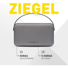 Odea Thonet & Vander Ziegel 30W Rms Taşınabilir Bluetooth Tws 30 Saat Dinleme Süresi Gri Renk