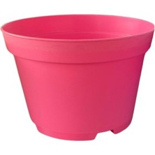 Odea Katı Plastik Sukulent Saksısı Sera Ekipmanları 15 Adet Pembe (8.5 Cm)