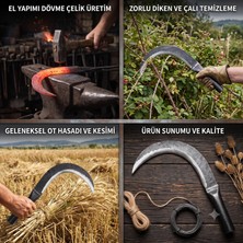 Odea Geleneksel El Yapımı Dövme Çelik Diken Orağı - Ot, Çalı ve Yabani Ot Temizleme Için Çok Amaçlı Bahçe Orağı (Sapsız)