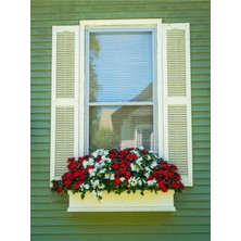 Odea Nura Botanik Cam Güzeli Çiçeği, 20-30 Cm, 2 Adet Saksılı Çiçekli Bodur Bitki, Impatiens Walleriana, Kırmızı