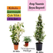Odea Nura Botanik Kokulu Arap Yasemini, Beyaz Begonvil, Tül Kuşkonmaz Hediyeli, 3'lü Set