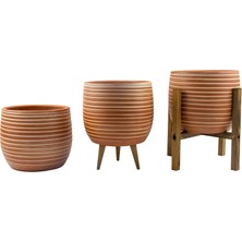 Odea Bitki Tasarımı Ev Dekorasyon Yan Çizgi Desenli Toprak Saksı Saksılık Salon Çiçeklik Üçlü Set - 19 cm