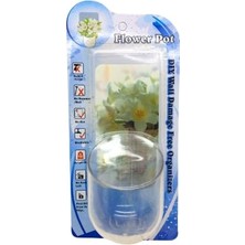 Odea Tüy Ball Saksı (5264)