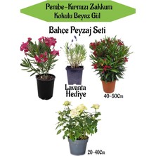 Odea Gardenbox Bahçe Seti