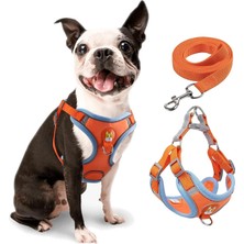 Odea Joyzzz Küçük Köpek Koşum Çekme Yok, 2 Tasma Klipsli Ayarlanabilir Yavru Köpek Koşum, Ultra Konfor Yastıklı Köpeks Yeleği, Küçük Köpekler Için Kolay Kontrol Yansıtıcı Köpeks Koşums ve Tasma Seti (M)