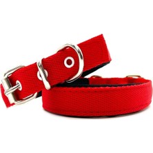 Odea Tasma Market Kırmızı Yumuşak Dokulu Kolon Köpek Tasması Kırmızı Tek Ebat