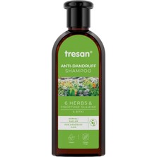Odea Zencefil Organik Tresan 6 Bitkili Kepek Şampuanı 300 ml Anti-Dandruff Shampoo