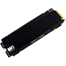 Odea Twinmos 1 Tb M.2 Pcıe Nvme 7500/6800 Soğutuculu NV1TBG42280