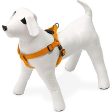 Odea Karlie Kilitli Göğüs Tasma, Köpek, S/m, 35-60 Cm, Turuncu