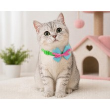 Odea Vintage Puantiyeli Papyonlu Kedi Tasması, Özel Tasarım, Zilli, Yeşil, 20-30 cm
