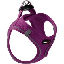 Odea Lepus Air Mesh Köpek Göğüs Tasması Mor Xlarge