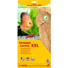 Odea Sera Catappa Yaprağı Xxl 32 cm