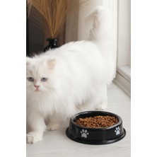 Odea Emaye Kedi Köpek Mama ve Su Kabı Pati Desen,night