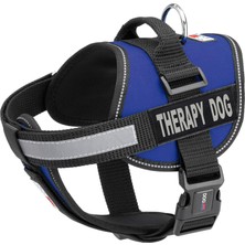 Odea Dogline Köpek Koşum Takımı ve 2 Çıkarılabilir Terapi Yaması, Beden L / 71,1 cm Ila 96,5 Cm, Mavi