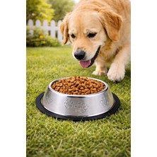 Odea Paslanmaz Çelik 22 Cm. 500 Ml. Gri Kaymaz Taban Kedi Köpek Mama ve Su Kabı MT251