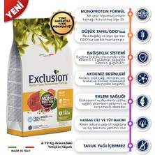 Odea Exclusion Monoprotein Sığırlı ve Narlı Düşük Tahıllı Küçük Irk Yetişkin Köpek Maması 2 kg