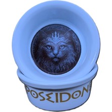 Odea Raccoon Olimpos Serisi Poseidon Seramik Mama ve Su Kabı 300ML