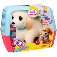 Odea Little Live Pets Ouchies Cooper The Retriever Köpek Yavrusu, 50+ Ses, Limping To Walking Puppy Veteriner Taşıyıcılı, Interaktif Oyuncak Köpek, 5 Yaş ve Üzeri Çocuklar Için