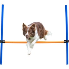 Odea Trixie Köpek Agility Eğitim Manisi , 123×115×Ø3 cm