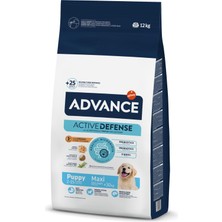 Odea Advance Puppy Protect Tavuklu Büyük Irk Yavru Köpek Maması, 12KG