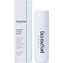 Odea Dermonad Dudak Balm Onarıcı Nemlendirici 5 Mg (She Butter, Vitamin E, Coconut Oil,squalene)