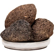 Odea Evvahe Doğal Doğal, Topuk, Taşı, (Fosil)