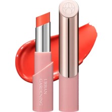 Odea Ariul Urban Gardening Essential Lip Glow Stick Sunset Tangy 4g-Yoğun Nemlendirici Kalıcı Dudak Balmı