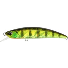 Odea Duo Spearhead Ryuki 70F AJA3055 Chart Gill Halo Suni Yem