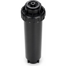 Odea Rain Bird US-415