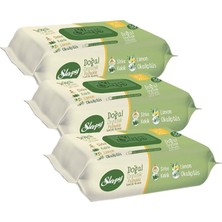 Renas Store Sleepy Islak Havlu Mendil Doğal Organik Pamuklu 50 Yaprak Plastik Kapaklı 3lü Set 150 Yaprak