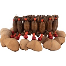 Odea Pearl Pbglken Kenari Nut Bracelet Shaker