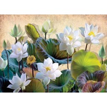 Odea Nova Puzzle 1000 Parça Beyaz Nilüfer Çiçekleri Puzzle