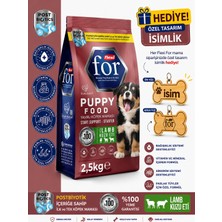 Flexi For Yavru Köpek Maması Pirinçli Kuzu Etli Yavru Köpek Kuru Maması 2,5 kg