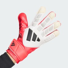 Odea Adidas Predator Goalkeeper Glove Traınıng Junıor