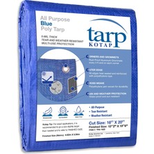 Odea Kotap Poli Tarp, Mavi