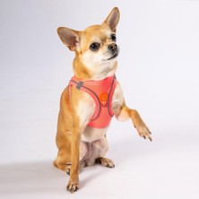 Esranın Dünyası Pawstar Neon Pembe Air-Mesh Göğüs Tasması Kedi Köpek Göğüs Tasması Neon Pembe 3xs