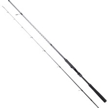 Ryuji Ares x 270 cm 9-45 gr Spin Kamış