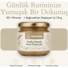 Seamoss Vanilla -Vanilya Aromalı Irlanda Deniz Yosunu Jeli 330ML - Sea Moss, Deniz Yosunu