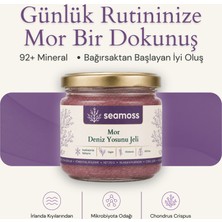Seamoss Mor Irlanda Deniz Yosunu Jeli (Irısh Sea Moss)