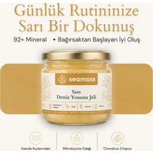 Seamoss Sarı Irlanda Deniz Yosunu Jeli (Irısh Sea Moss)