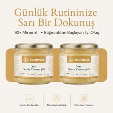 Seamoss 2'li Luxury Boy Gold Irlanda Deniz Yosunu Jeli 2 x 330ML - Sea Moss, Deniz Yosunu